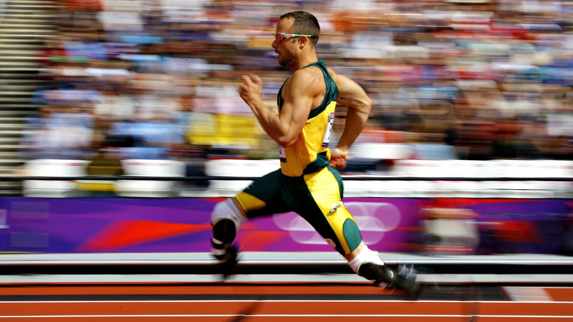 “华金·托比利亚的全能防守与快速突破，成就美洲狮队的防守核心”