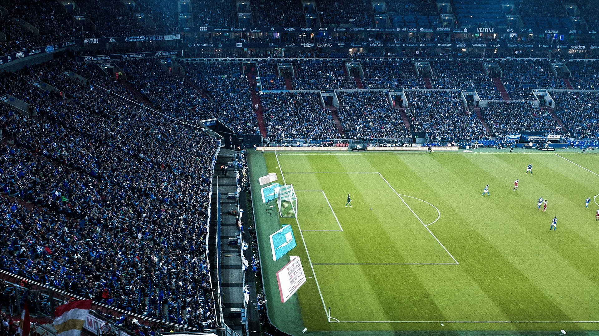 “华金·托比利亚的全能防守与快速突破，成就美洲狮队的防守核心”